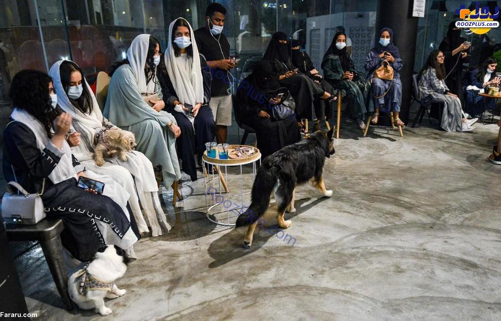 افتتاح اولین کافی شاپ ورود با سگ در عربستان +عکس