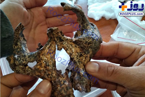 جمجمه ۲ میلیون ساله اجداد انسان پیدا شد+عکس