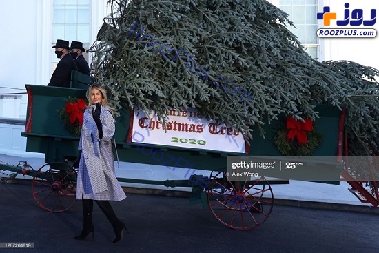 ملانیا ترامپ کنار درخت کریسمس کاخ سفید+عکس
