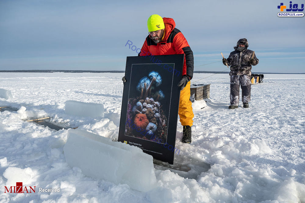 عکس/اولین گالری نقاشی زیر یخی جهان