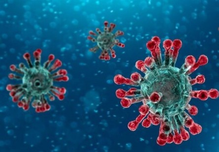ویژگی‌های سویه اومیکرون چیست؟/ ۲ عامل مؤثر در ایجاد جهش‌های جدید ویروس کرونا