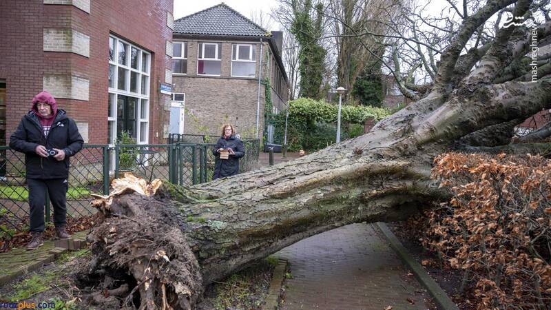 خسارت طوفان سهمگین در هلند/عکس