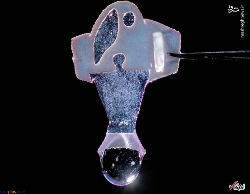 شنای ماهی رباتیک با سلول‌های قلب انسان +عکس