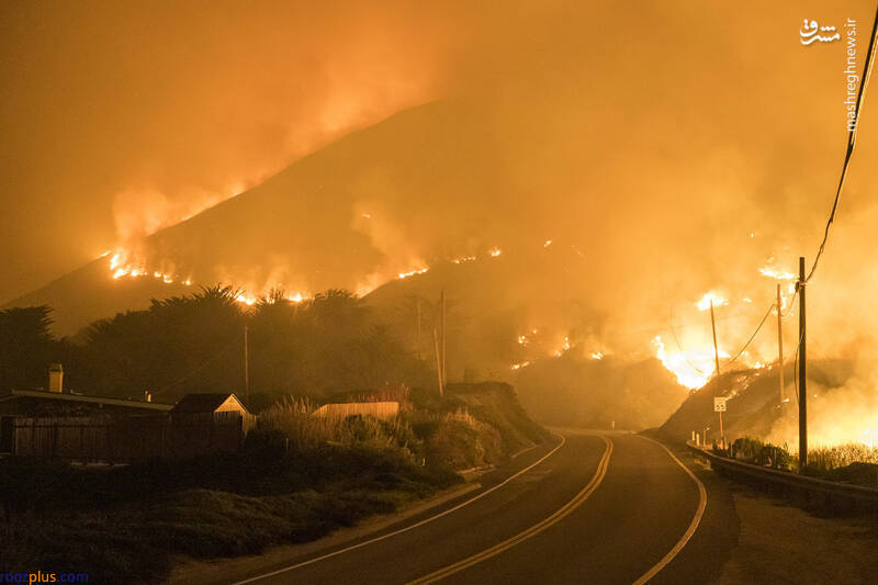 کالیفرنیا بازهم در آتش/عکس