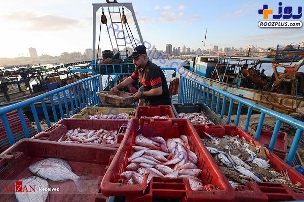 بازگشت ماهیگیران غزه به دریا +عکس