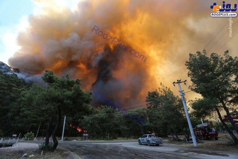 تصاویری تلخ از آتش سوزی وسیع ترکیه