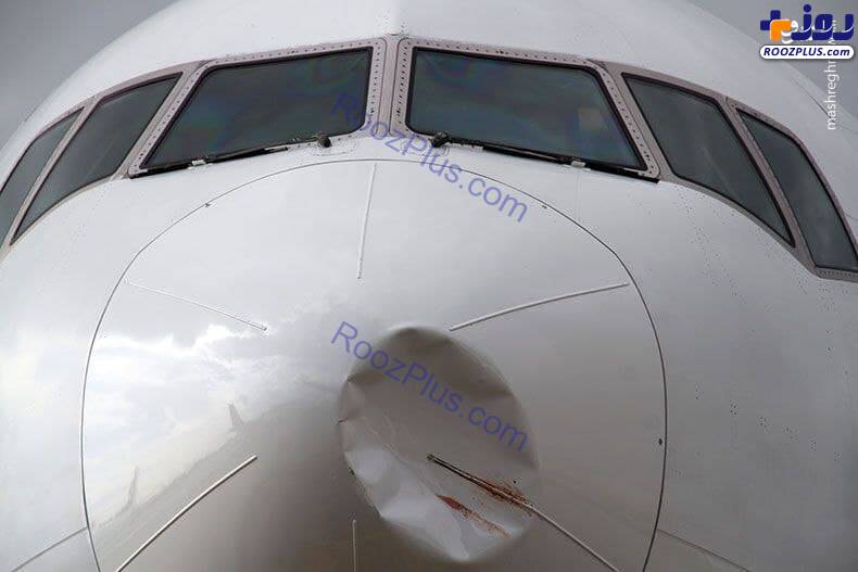 شدت ضربه برخورد یک پرنده با هواپیما +عکس