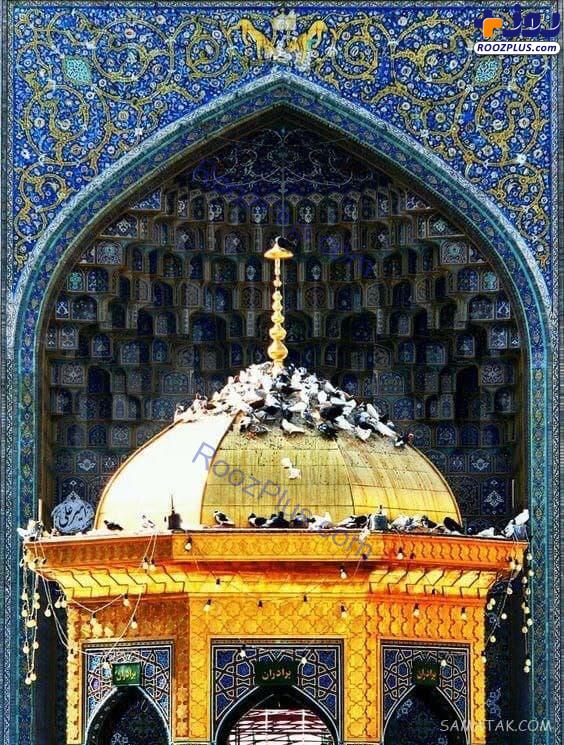 تصاویری زیبا از بارگاه ملکوتی علی بن موسی الرضا (ع)