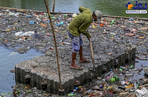 جمع کردن زباله ها از دریاچه ای در سریلانکا +عکس
