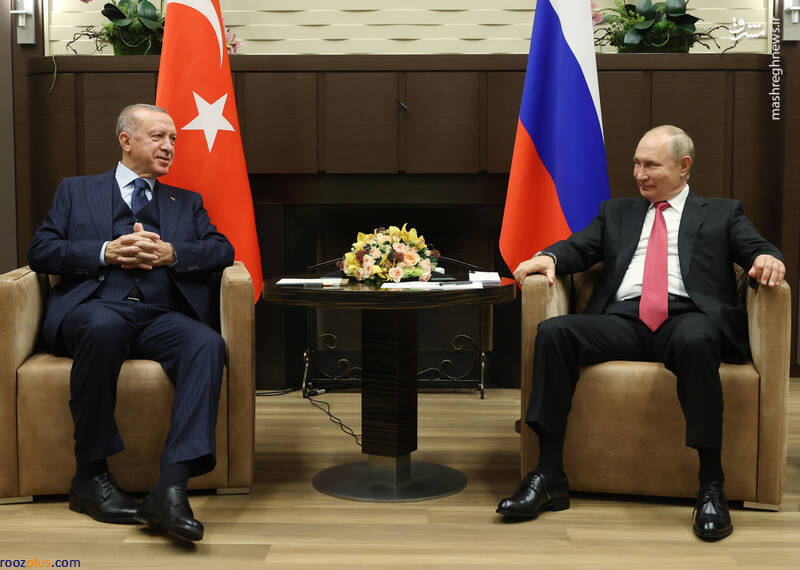 دیدار پوتین و اردوغان در سوچی+عکس