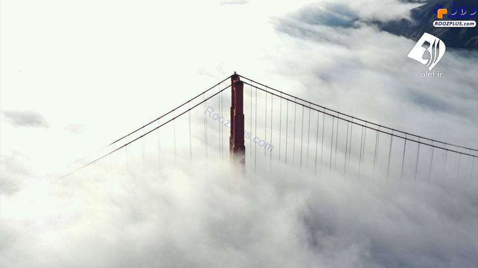 مه خیره‌کننده در پل گلدن گیت +عکس