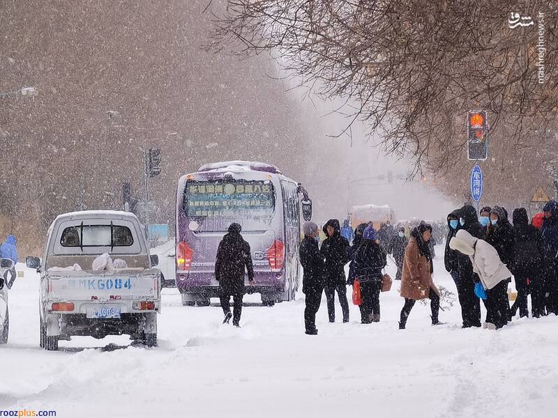 برف و یخبندان شدید در چین/عکس