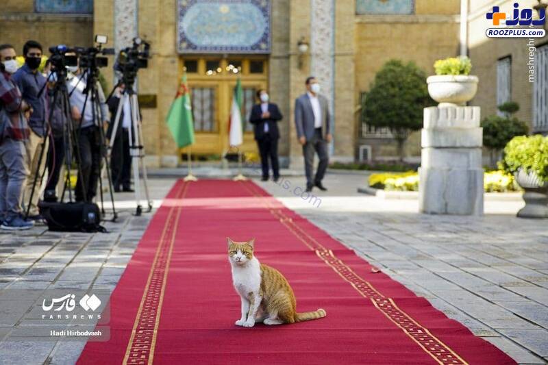 مهمان ناخوانده روی فرش قرمز وزارت خارجه سوژه شد +عکس