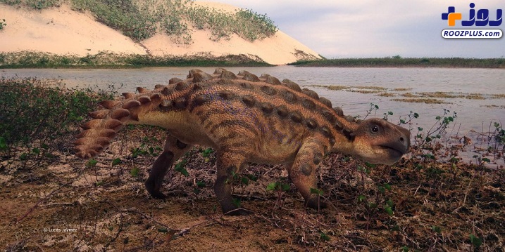 کشف گونه جدیدی از دایناسور‌های زرهی در شیلی