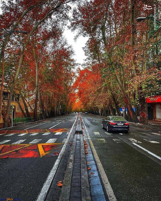 پاییز دیدنی خیابان ولیعصر(عج) +عکس