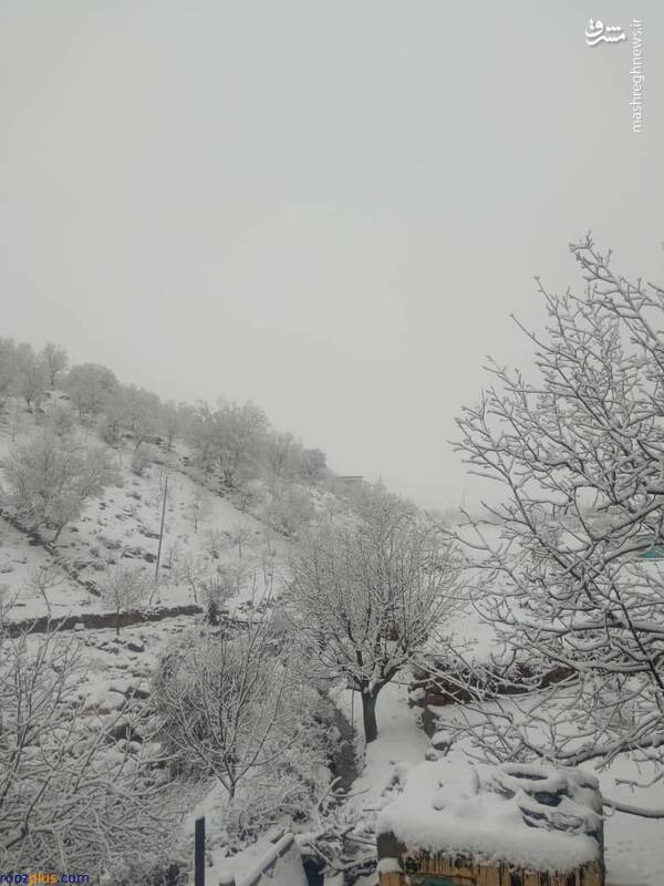 اولین بارش برف پاییزی در کوهرنگ/عکس
