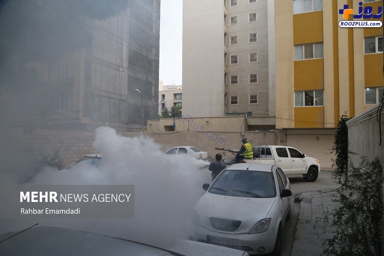 مه‌پاشی علیه پشه «آئدس» در شهر بندرعباس +تصاویر
