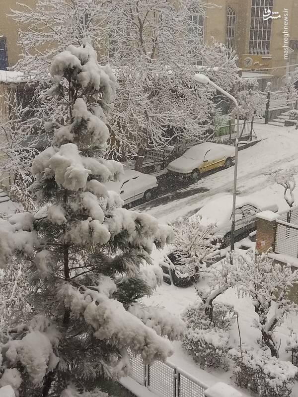 عکس/ شدت برف زمستانی در شمال تهران