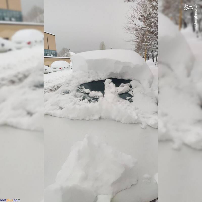عکس/ خودرو دفن شده در برف