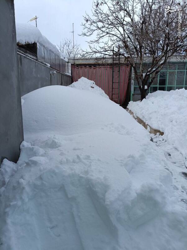 عکس/حجم برف حیاط یک خانه در شهرکرد