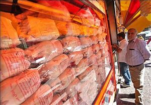 قیمت مرغ در عمده فروشی‌ها چند شد؟