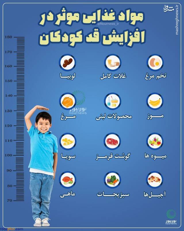 اینفوگرافیک/ موادغذایی موثر در افزایش قد کودکان