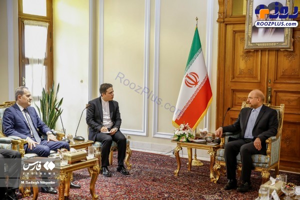 دیدار وزیر خارجه جمهوری آذربایجان با رئیس مجلس +عکس