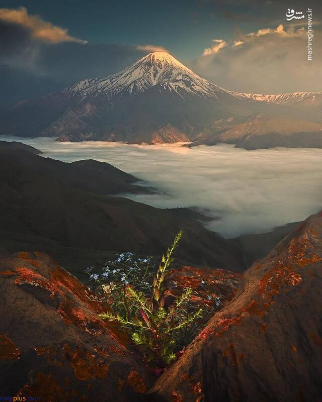 عکس/ قله دماوند بعد از طلوع خورشید