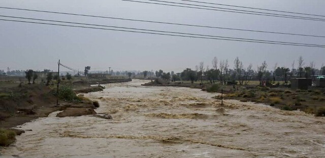 پیش بینی وقوع سیلاب در استان بوشهر