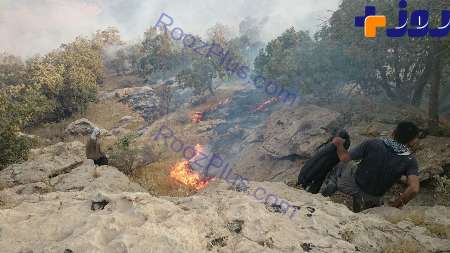 آتش سوزی 80 هکتار از جنگل های گیلانغرب را سوزاند! + تصاویر