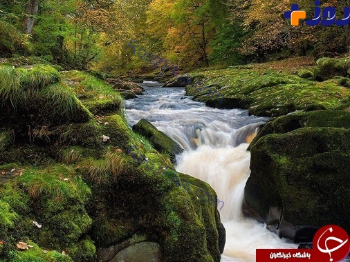 در این رودخانه ظرف چند ثانیه بلعیده خواهید شد!+عکس