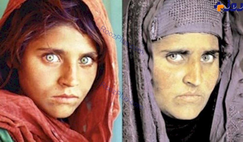 عکس دختر افغان استیو مک کوری