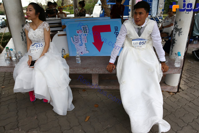 مسابقه عجیب دو ماراتن عروس و دامادهای تایلندی +تصاویر