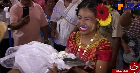 وقتی شهردار یک شهر با یک کروکودیل ماده ازدواج کرد + تصاویر عروسی