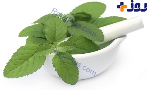 تیر خلاص گیاهان دارویی به آفت دهان