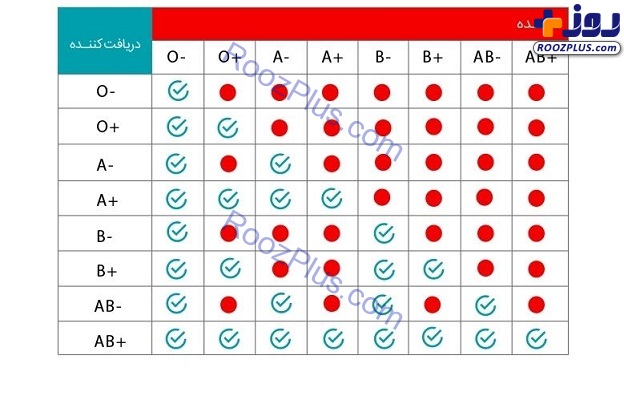انواع گروه خونی و تعیین قوانین انتقال خون + جدول