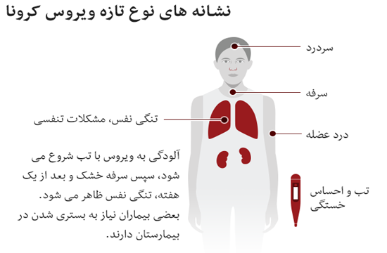 قلیان عامل اصلی ویروس کرونا قلیان عامل اصلی ویروس کرونا