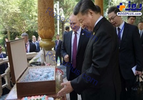 سورپرایز پوتین برای رئیس‌جمهور چین در روز تولدش! +عکس