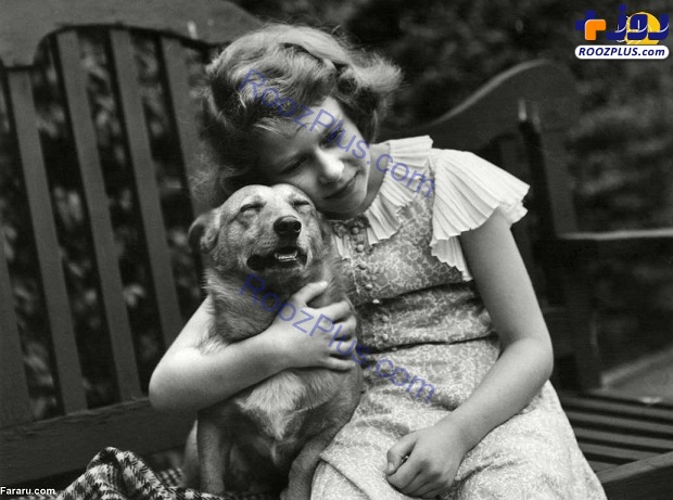 ملکه انگلیس و سگ‌ مورد علاقه‌اش + تصاویر
