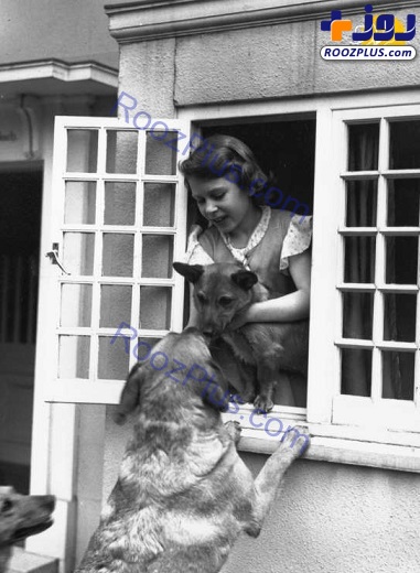 ملکه انگلیس و سگ‌ مورد علاقه‌اش + تصاویر
