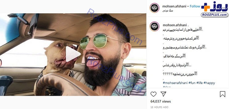 سلبریتی که می‌خواهد به هر قیمتی دیده شود!