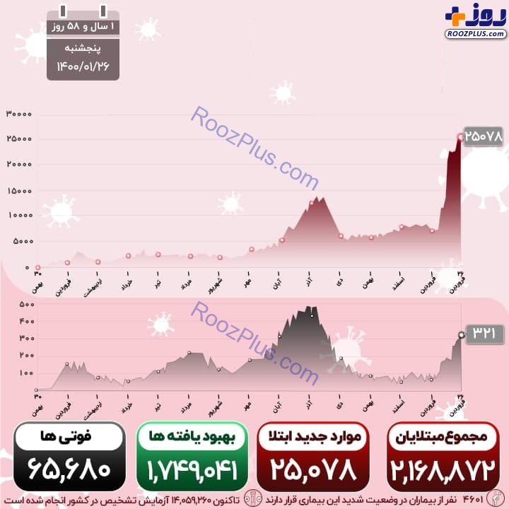 اینفوگرافیک/آخرین آمار ویروس کرونا در کشور