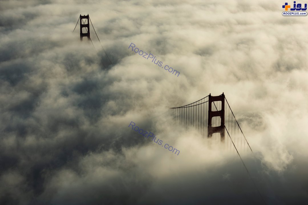 عکس/پل گلدن گیت سانفرانسیسکو غرق در مه