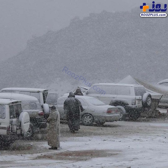بارش شدید برف در عربستان +تصاویر