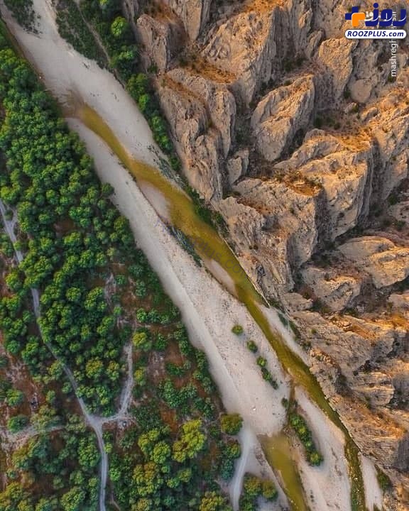 تصویری جذاب از طبیعت بکر بوشهر