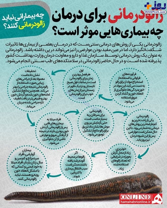 اینفوگرافیک/ زالودرمانی برای درمان چه بیماری‌هایی موثر است؟