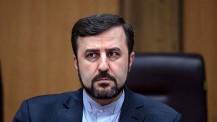 واكنش دبير كميسيون حقوق بشر ايران به موضع دو مقام حقوق بشرى آلمان و فرانسه درباره وضعيت نرگس محمدى