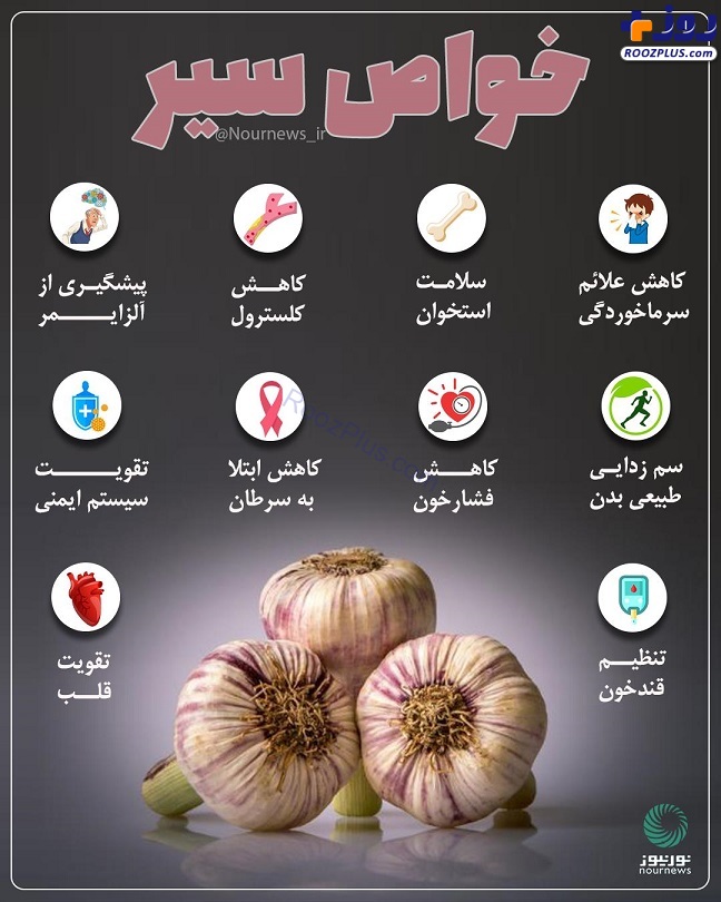 اینفوگرافیک/ خواص سیر