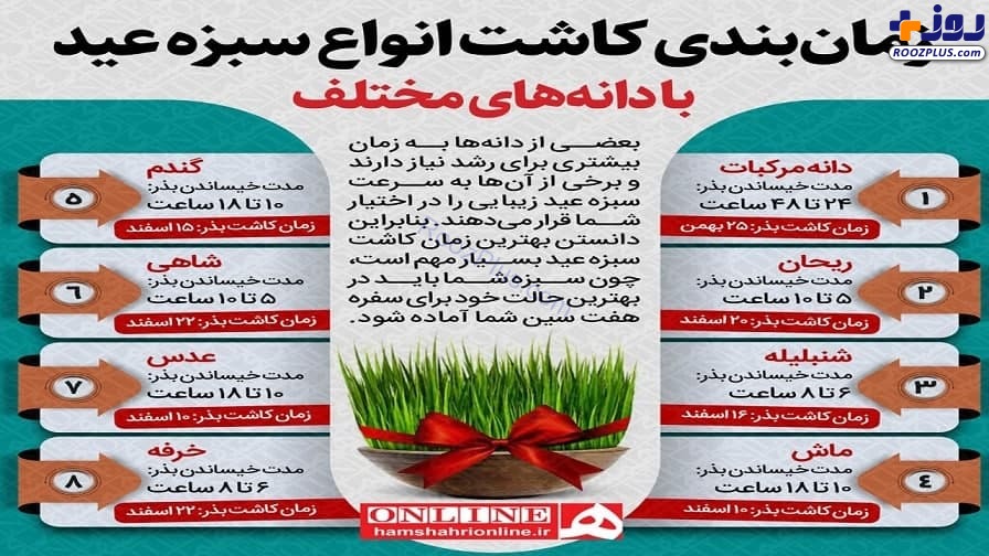 اینفوگرافیک/ بهترین زمان برای کاشت سبزه عید نوروز با انواع دانه