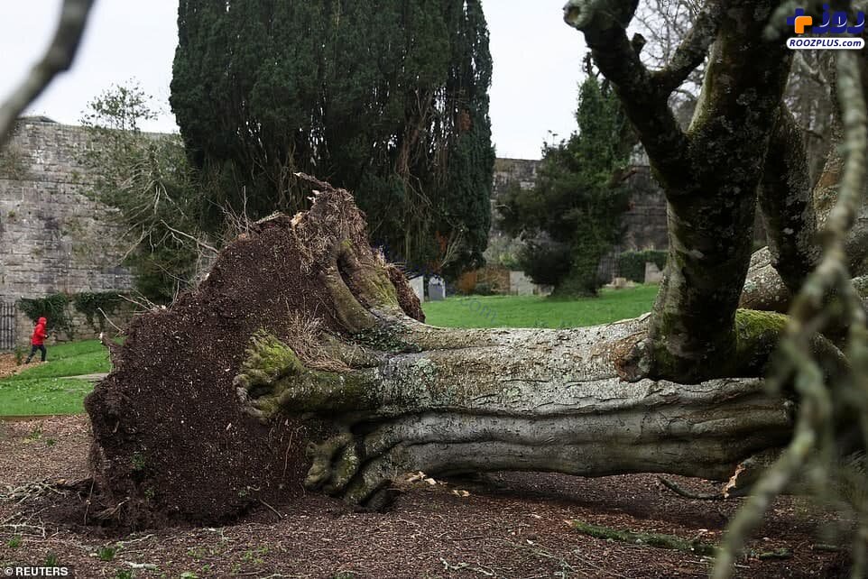 وقتی طوفان یونس انگلیس را با خاک یکسان کرد +عکس